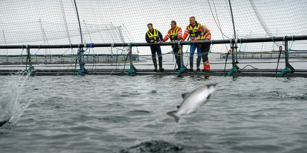 Regjeringen foreslår regjeringen en grunnrenteskatt som sikrer at inntekter tilfaller vertskommunen for oppdrettsanlegget, skriver Karianne B. Bråthen Arbeiderpartiets fiskeripolitiske talsperson.