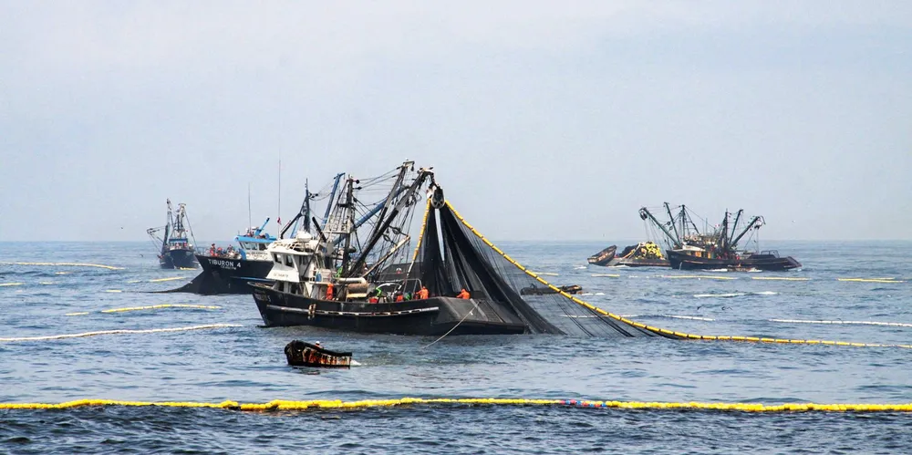 Will anchovy fishing go the distance?