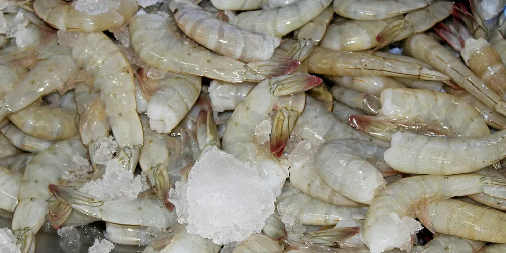 New rules in Ecuadorian aquaculture.