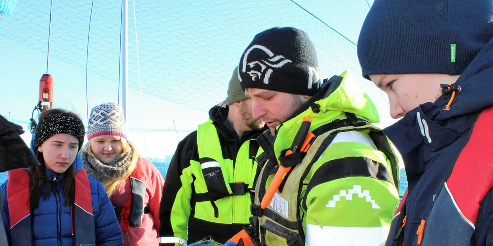 Ungdom på laksebesøk. Ungdomsskoleelevene Helle Hilstad, Marte Hansen og Steinar Engseth fra Øresvik skole i Rødøy følger interessert med mens Håvard Olsen i Kvarøy fiskeoppdrett studerer og forklarer.