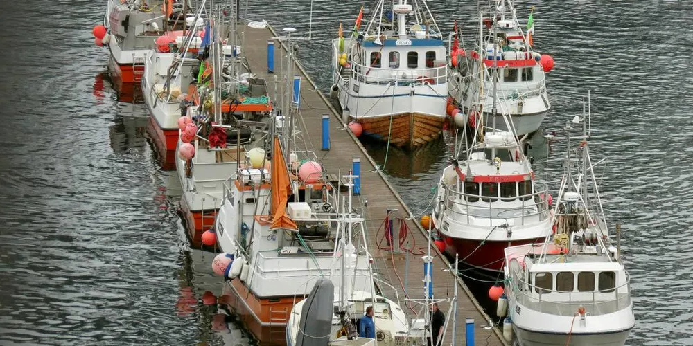 DISTRIKTSKVOTE: Reguleringsmøtet skal denne uken ta stilling til om Åpen gruppe-flåten også skal få delta i distriktskvoteordningen.Illustrasjonsfoto: Jon Eirik Olsen