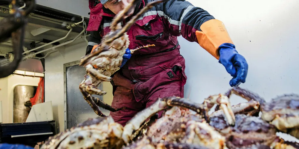 BUNNFAUNAEN BLIR SPIST: Kongekrabben får konsekvenser for både sjøfugl og fisk som beiter i fjorden.