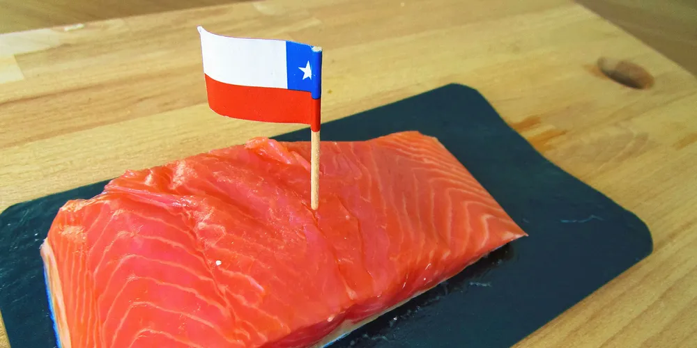 DataSalmon: Chilean salmon prices rise slightly