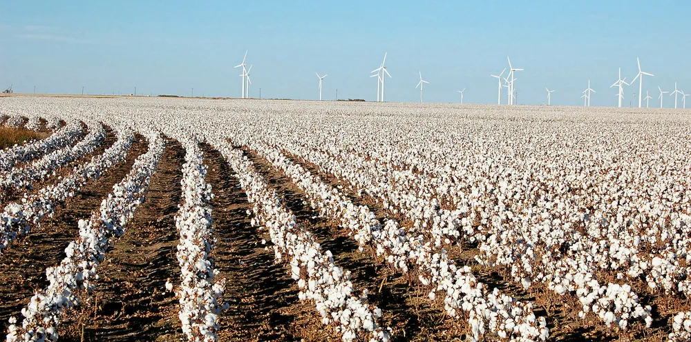 Texas High Plains wind. North of Sweetwater, Texas.