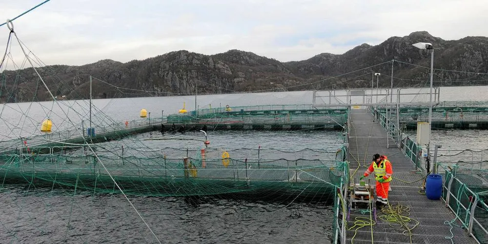 Luseproblemer gjør at Marine Harvest nedjusterer slaktevolumet for andre halvår. Her fra Flekkefjord. Arkivfoto: Kjersti Kvile