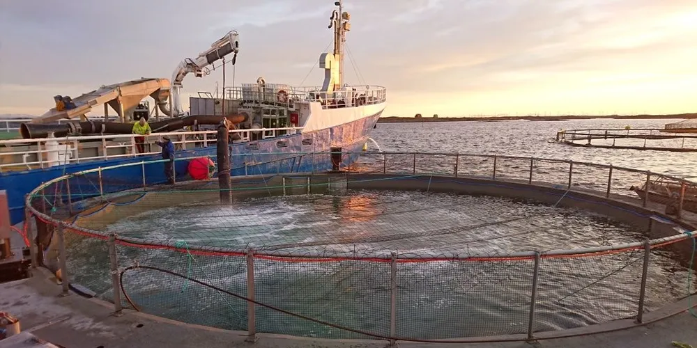 - Får vi de resultatene vi forventer, er det tatt et nytt og viktig steg innen fiskeoppdrettsnæringen i Norge, sier Per Helge Pedersen som lanserte ideen om «Fisk i Betong». Foto: Finn Håkon Eines