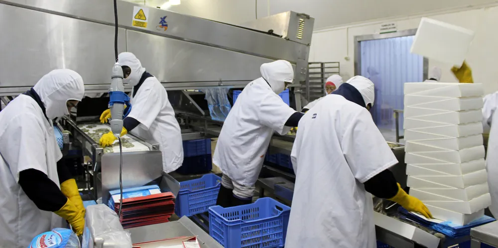 Ecuador's shrimp packers were busy in August.