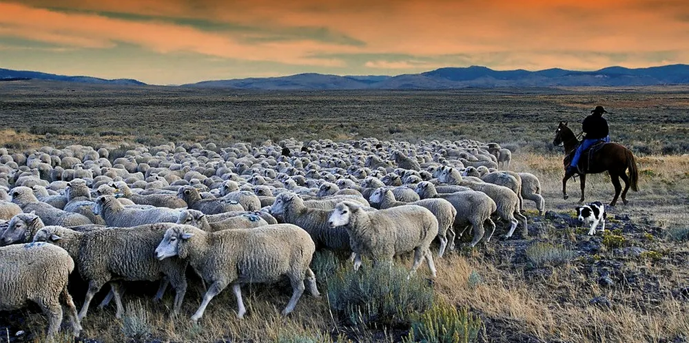 Idaho. Idaho.