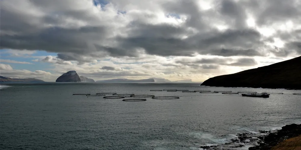 Lokaliteten Midvagur (Miðvági).