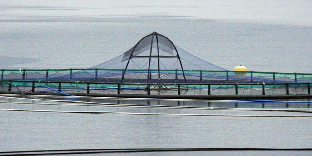 Salmon cage in Sogn og Fjordane.