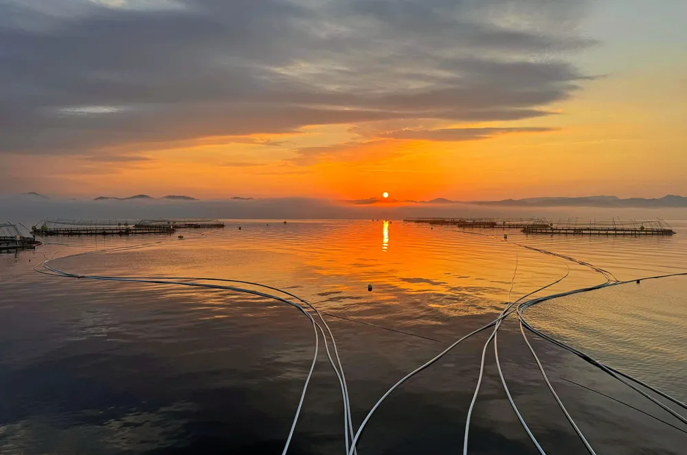 Merd i solnedgang: Her fra Grieg seafood rogalands lokalitet Store Teistholmen