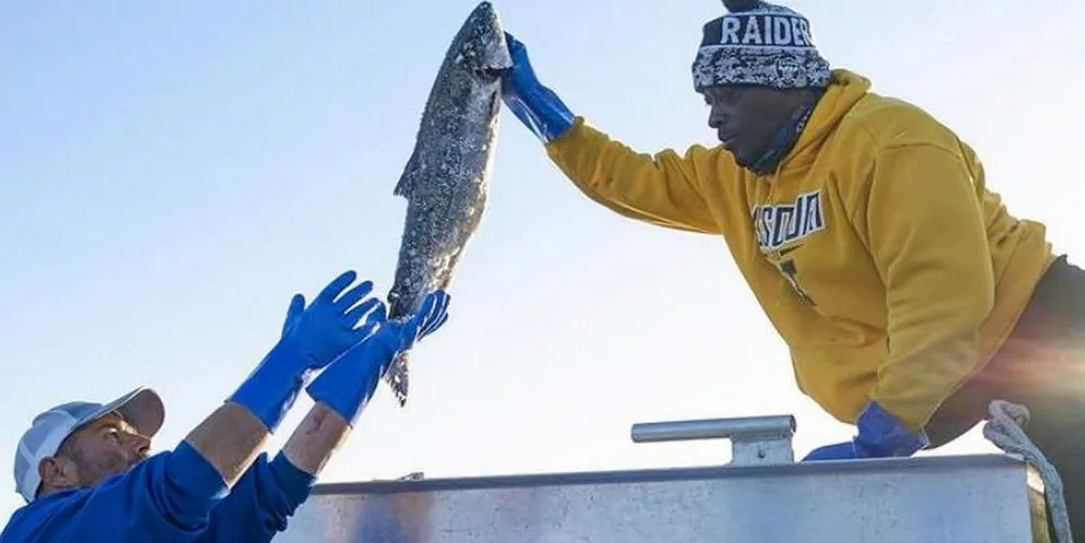 60 North Seafoods is fishing for and selling sockeye salmon from the Copper River this season.