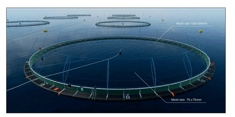 The new farm at Billy Baa will have a capacity of 4,091 metric tons.