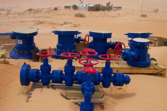 Serinus shuts in Tunisian well