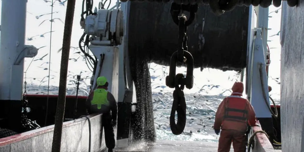 Domestic demand for Alaska pollock continues to grow, according to US executives. Crew members of the F/V Sovereignty loading nets of Alaska pollock.