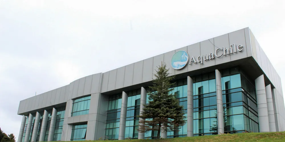 AquaCHile offices, Puerto Montt.