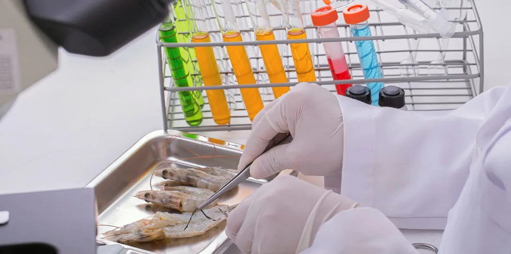 USDA APHIS Veterinary Services has confirmed the detection of IHHNV at shrimp farming sites located in both Texas and Florida.