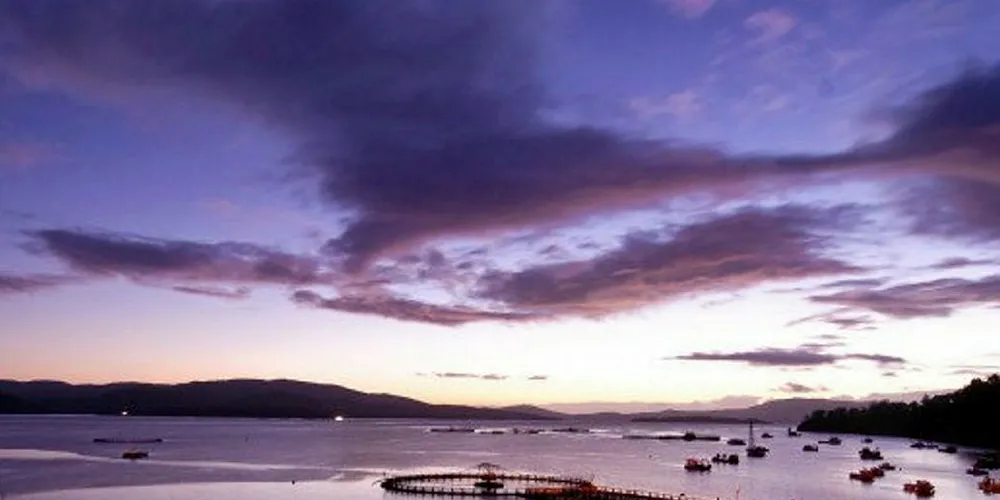 The sun has yet to rise on aquaculture stocks down under in 2019.