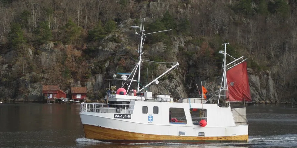 GARNFISKE I SØR: "Skogsøyjenta" ligger på garnfiske mellom Ryvingen og Songvaar. Kystfiskebåten fra Mandal tok 300 kilo med lyr og blandingsfisk på den beste turen forrige uke. ARKIV