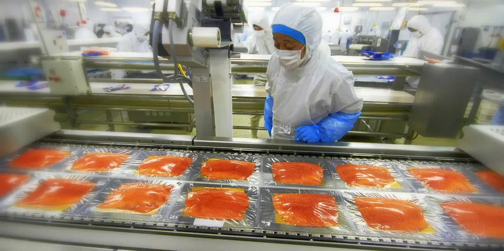 Chile has made great strides in reducing its use of antibiotics in salmon farming.