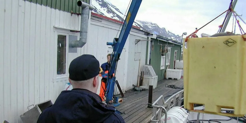Kontrollørene fra Fiskeridirektoratet er sjelden på kaia, og aldri utenom arbeidstiden. Dermed er det fritt frem for fiskefusk, mener Riksrevisjonen.Foto: Terje Jensen/Fiskeribladet