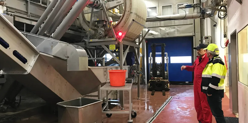Når det blir bare 30–40 øre i prisforskjell til fordel for konsum mot mel og olje, vinner gjerne mel og olje. Bildet er fra Pelagias filetfabrikk på Måløy.