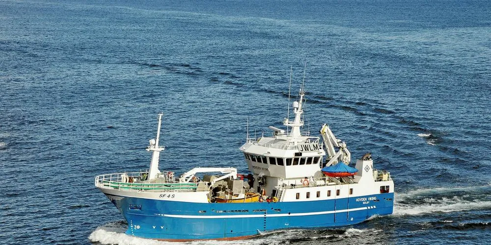 BYTTES UT: «Hovden Viking» er solgt til rederiet Øksnes Kystfiske AS og rederiet Hovden Senior har bestilt ny båt som er under bygging hos Larsnes Mek. Verksted.Foto: Frode Adolfsen