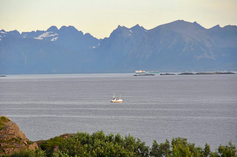 Sjark på Vesterålsfjorden – med Havfarmen til lakseprodusenten Nordlaks i bakgrunnen.