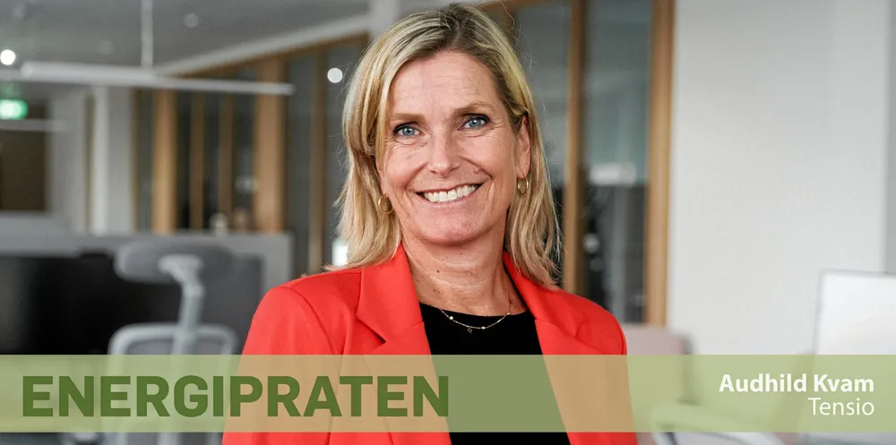 Klar melding fra den nye krafttoppen: – Nettselskapene kan ikke være for offensive