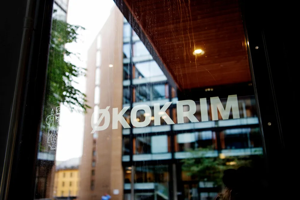 Noen saker er så komplekse at det kreves særlig granskningskompetanse, særlig saker med mistanke om økonomisk kriminalitet, skriver Anne Helsingeng.