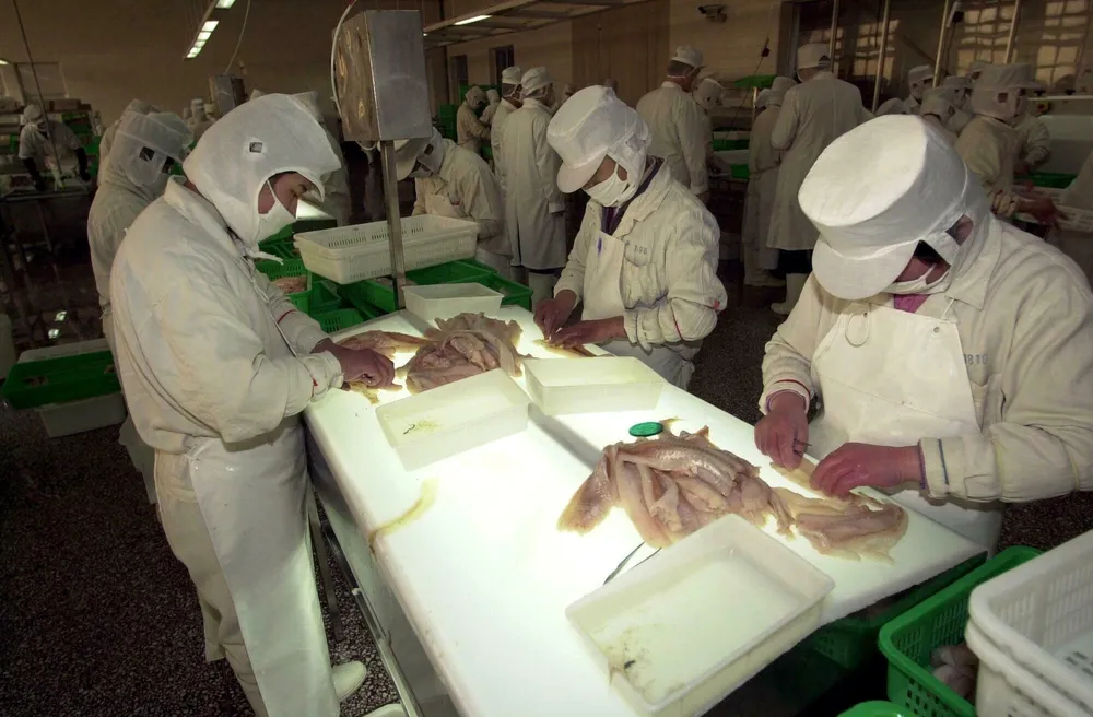 Fiskeeksport fra Norge til Kina. Hva skjer når Trump innfører toll på fisk fra Kina?