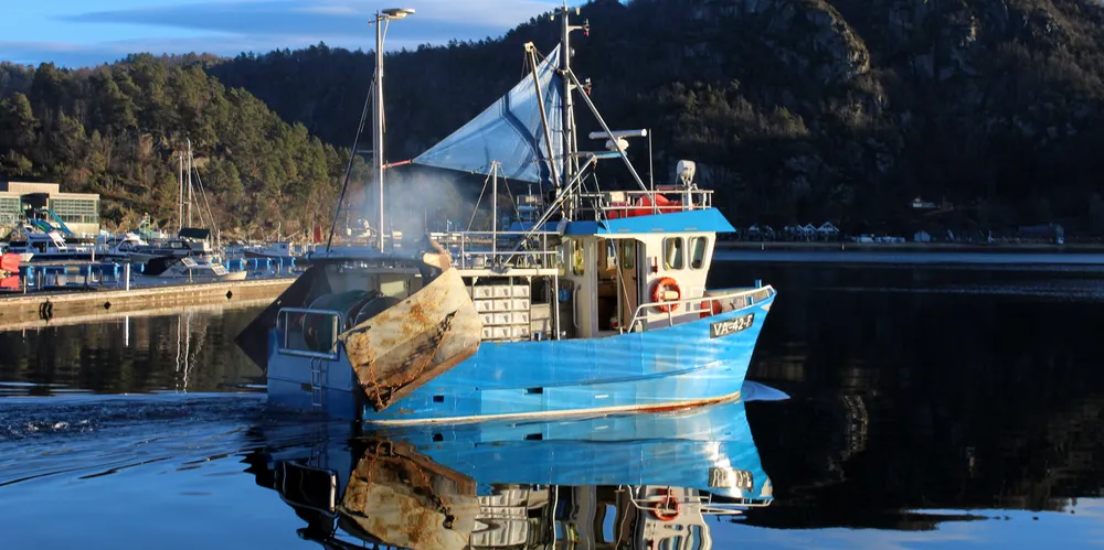 «Sienna» fra Hidra i Flekkefjord fikk god uttelling onsdag og landet 647 kilo reker, derav 408 kilo kokt, til Domstein Sjømat i Risør