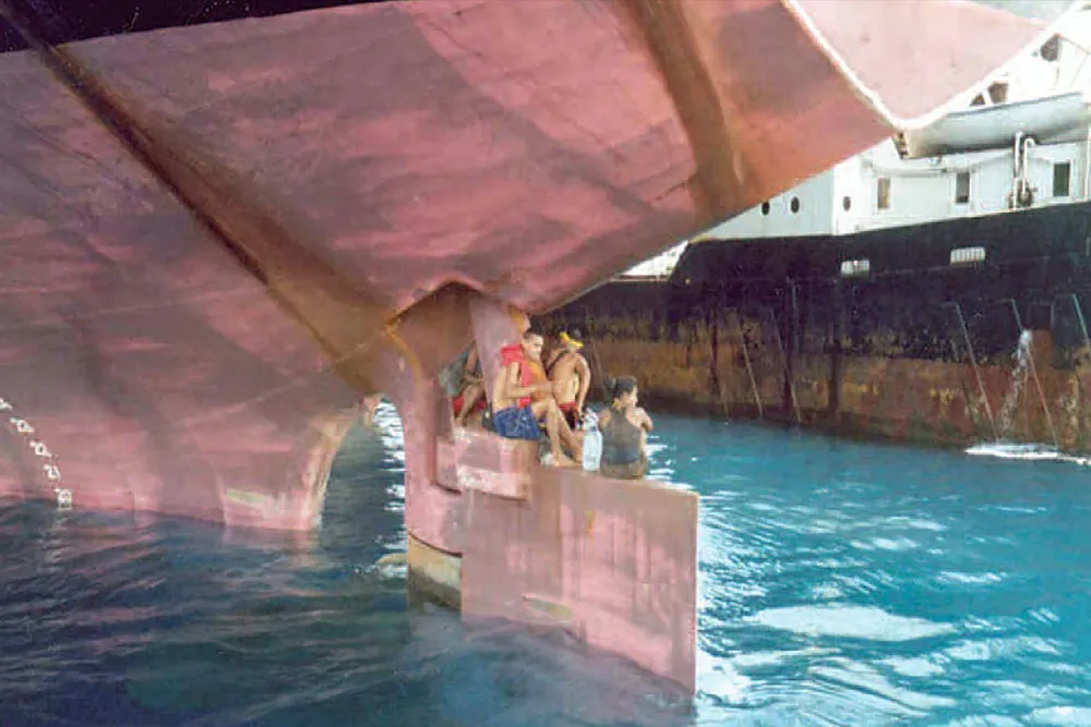 Stowaways emerge from a rudder void space