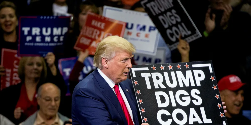 Donald Trump's decision is against the business mainstream, says REN21, Pic: DOMINICK REUTER/Getty
