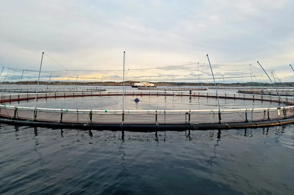 Norcods lokalitet Jamnungen på Frøya er én av 33 lokaliteter innen torskeoppdrett som kan regnes som aktive, viser en gjennomgang Intrafish har gjort.