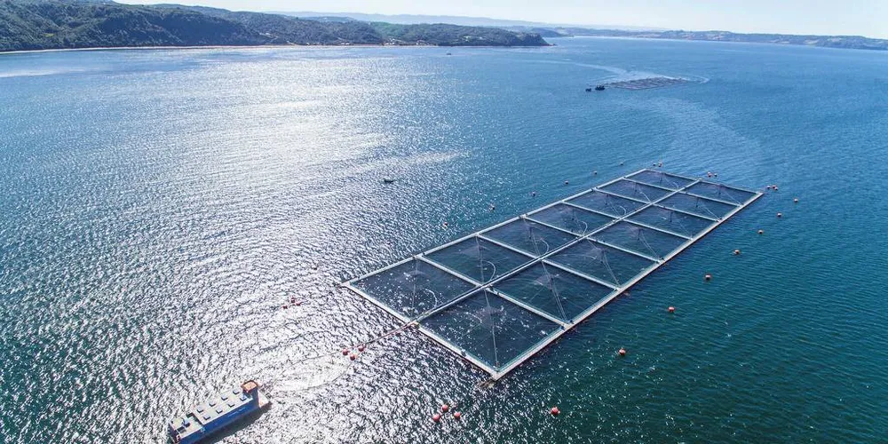 NORSK EKSPORT: Chile har planer om å øke produksjonen. Da kan norsk teknologi være aktuelt.Foto: Salmones Camanchaca