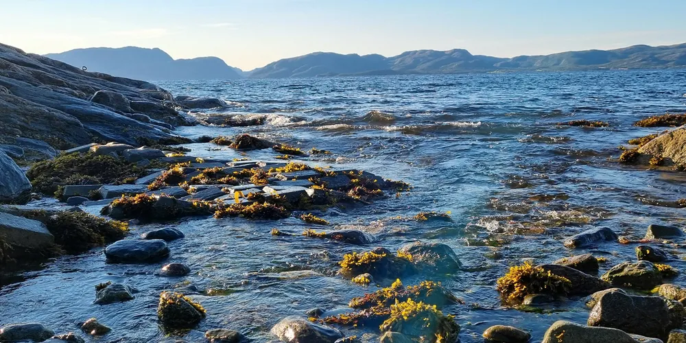 Fra disse fjæresteinene i Abelvær og over til Jøa skal det strekkes en splitter ny sjøkabel.