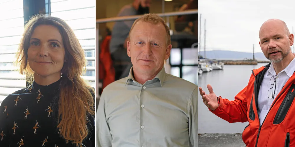 Dette sier Mariann Frantsen Pelagisk Forening, Kåre Heggebø, i Fiskarlag og Tom Vegard i Norges Fiskarlag om kvotemeldingsenigheten.