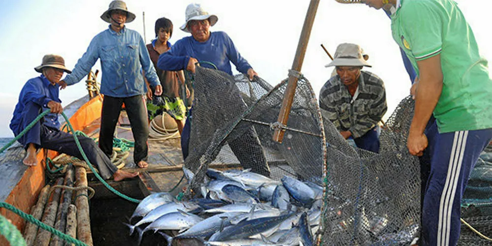 Monthly prices for frozen whole skipjack tuna raw material has been rising every month since March.
