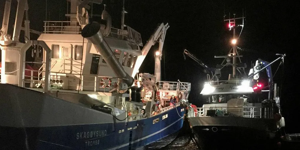 LEVERER: Her kan «Tonny Marie» levere sild til føringsbåten «Skagøysund» etter en vellykket låssetting. Nå ber denne flåten om tillatelse til å levere direkte fra nota til føringsfartøyet, blant annet for å slippe kampen med hvalen gjennom låssettingsprosessen.Foto: Meløysund Jr