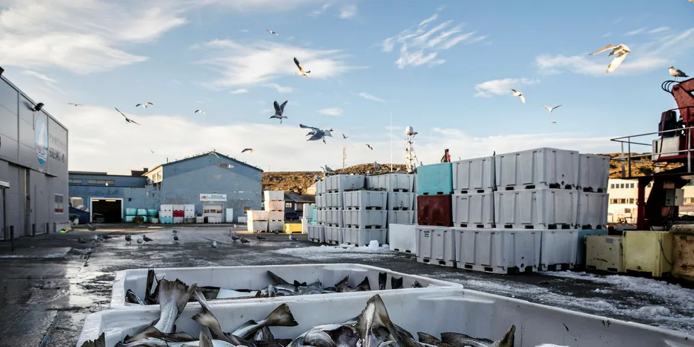 Polar Seafood also operates in Norway.