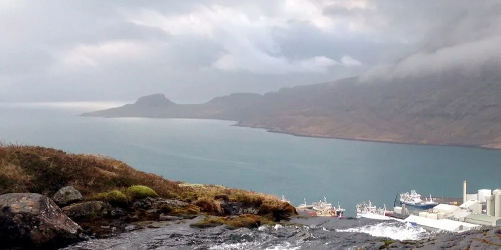 Loddelevering på Island. Foto: «Slaatterøy».