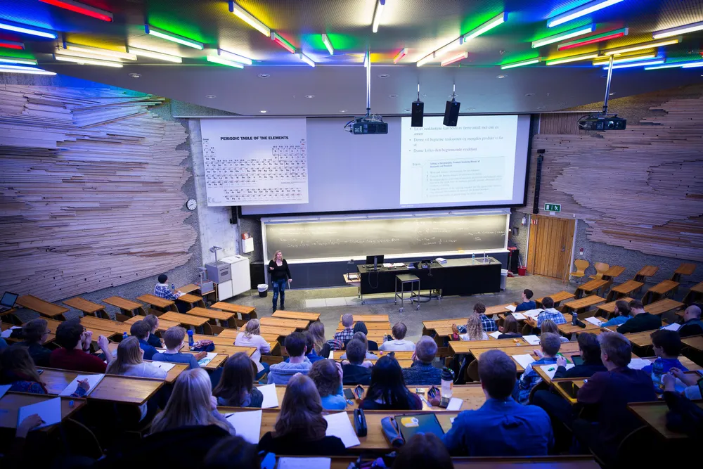 Studenter kan nok få A i de fleste fag ved å lese litteratur som inngår i abonnementstjenester som Perlago, på engelsk, skriver Øystein Foros.