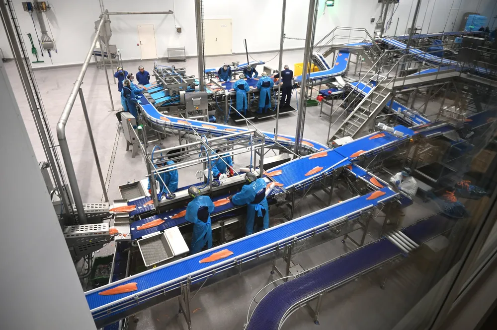 The new fillet line opened in January this year. For now, there are one and a half production lines in operation, but there’s capacity for three—an expansion that’s already in the plans.