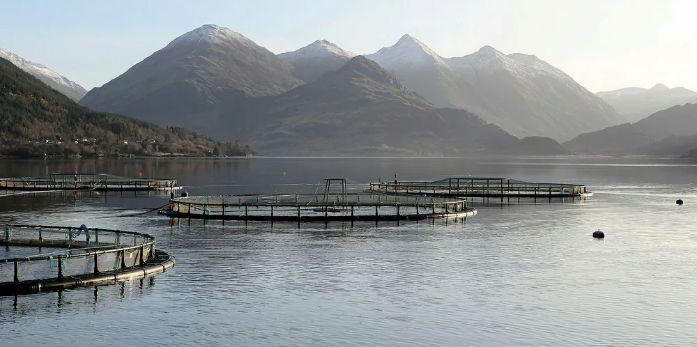 Marine Harvest Scotland salmon farm on Loch Duich.