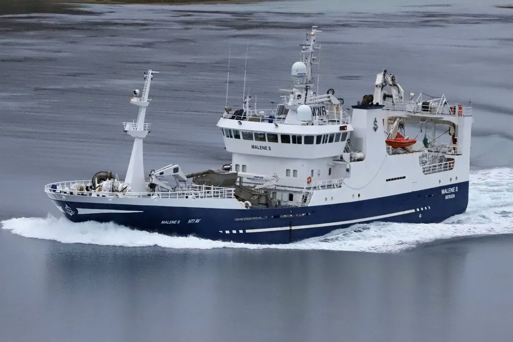 Den 68,3 meter lange ringnotbåten «Malene S» på tur sørover Tjeldsundet med sildelast 11. oktober 2024.