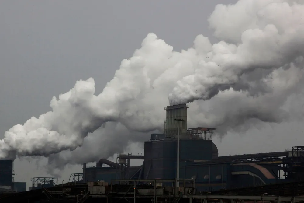 Carbon market: Carbon credits are seen as a potential source of financing that could support Africa’s energy transition process.