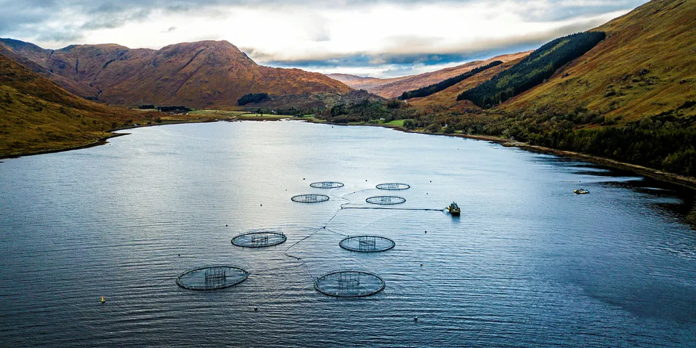 Scottish salmon farming is a major contributor to the UK economy, a new report found.