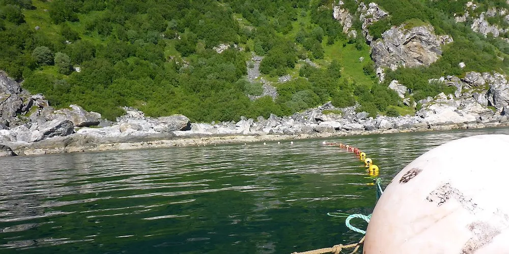 Nasjonal forskrift om fisketider for laksefiske i sjøen sier at alle garn med maskevidde over 32 millimeter skal være tre meter under overflaten. I Finnmark gjelder det også garn med mindre maskevidde, på grunn av alle sjørøyevassdragene der. Illustrasjonsfoto: Mia Kanstad Kulseng