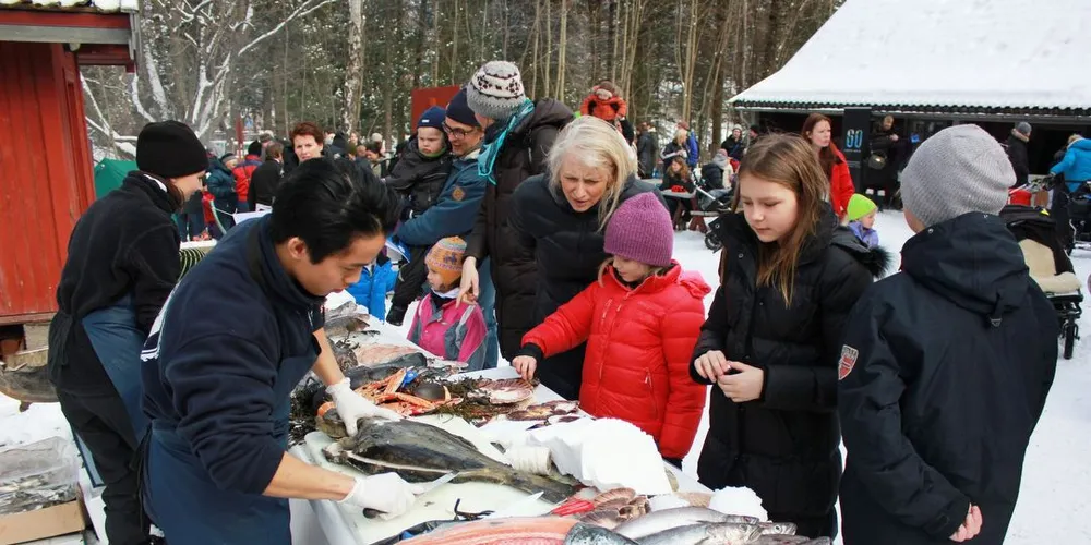 Geitmyra Matkulutsenter jobber for å få unge til å bli mer glad i fisk og sjømat. Nå har det fått tilskudd på like over 900.000 for å fortsette arbeidet sitt. Foto: Geitmyra Kultursenter